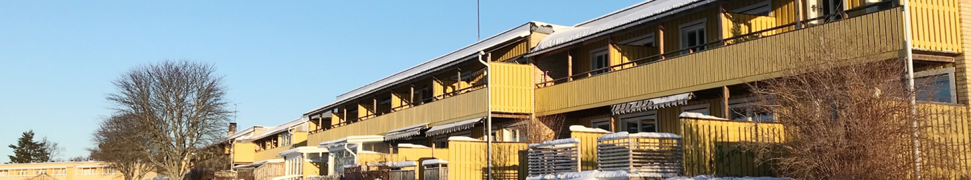 Våra solgula radhus